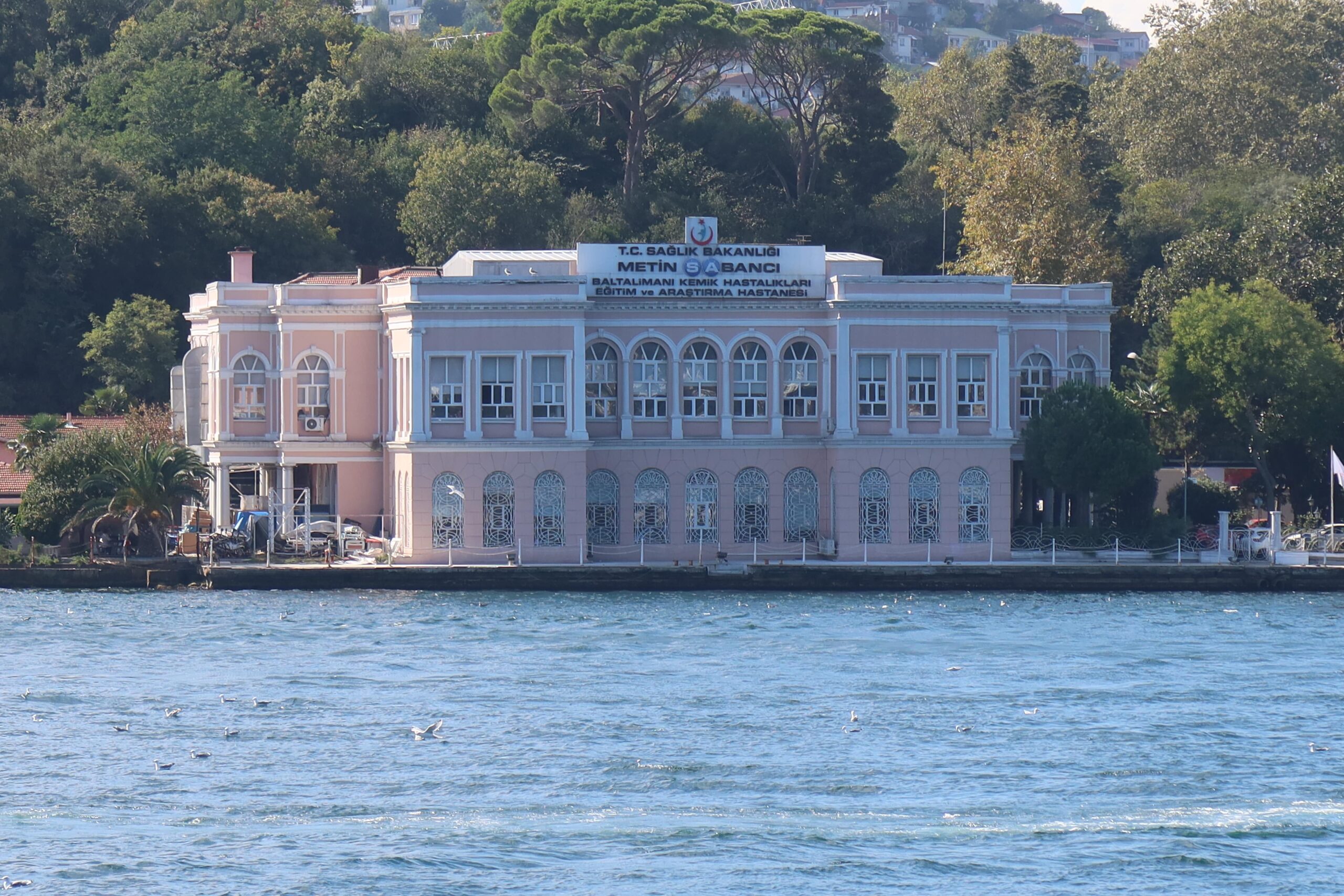 Baltalimanı Korsan Taksi